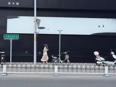 -BLACKSWAN黑天鹅(环球店)