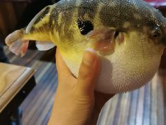 -永安鱼庄·镇江菜(丁卯店)