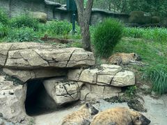 -北京野生动物园