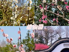 -杭州植物园