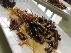 -丁老爷子苏香圆