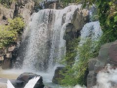 -上海鲜花港