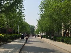 -北大学一食堂