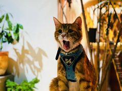 -北化机爱工场文化科技融合产业园