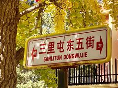 -三里屯东五街银杏大道