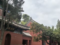 -洛阳白马寺