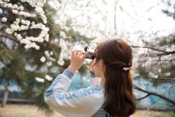 -木北造型