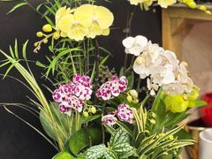 -双季花艺园艺市场(浦东店)