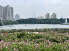 -黄兴公园