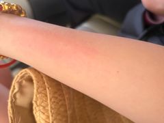 -维也纳酒店(广州番禺大石江景花园店)