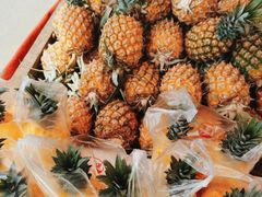 -三圣花乡旅游区