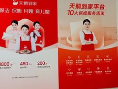 -天鹅到家·保姆月嫂育儿嫂(总店)