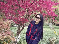 -杭州城北体育公园