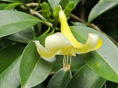 -云溪植物园
