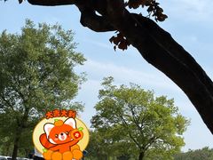 -钟山体育运动公园