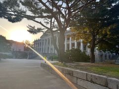 -首尔市立美术馆