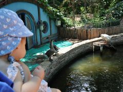 -南宫五洲植物乐园