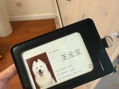 -爪吧宠物乐园 (温榆河示范区店)