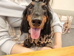 -小意思咖啡店(草桥店)