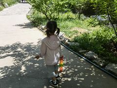 -十渡东湖港风景区