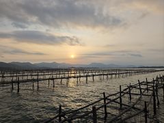 -盐洲岛