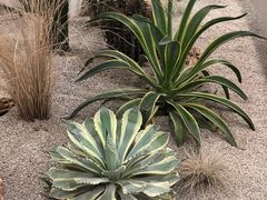 -OUR Bakery(SKP-S店)