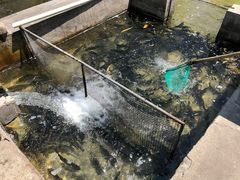 -北京水岸山吧度假村(雁栖镇店)