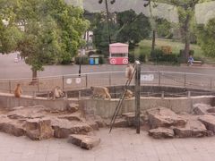-无锡动物园·太湖欢乐园