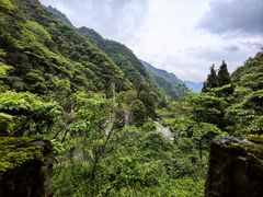 -娄山关景区