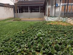 -丝绸小镇荻港古村