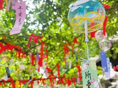 -善卷洞风景区