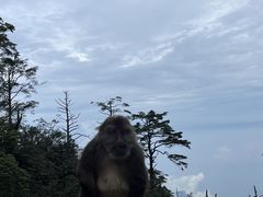 -峨眉山风景名胜区