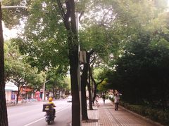 -同济大学四平路校区游泳馆