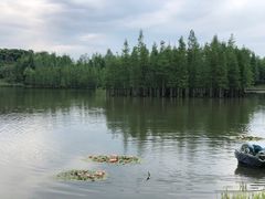 -白鹭湾湿地公园