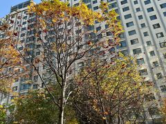 -COSTA COFFEE(哈尔滨凯德学府店)