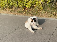 -深圳大学(丽湖校区)