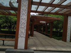 -木塔寺遗址生态公园
