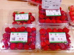 -浦东食品城(华诚大厦店)