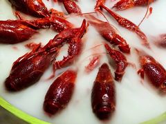 -红盔甲·小龙虾(天钥桥店)