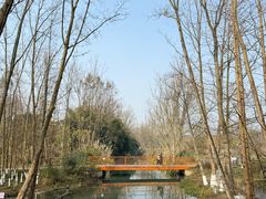 -桤木河湿地公园