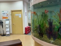 -慈铭体检(洋桥分院)