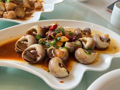 辣炒海螺-华盛丰温州大排档(东三环南路店)