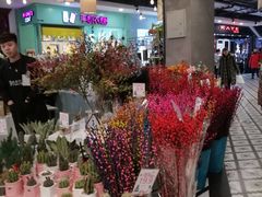 -凯德广场(学府店)