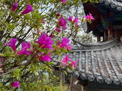 -腾冲云峰山