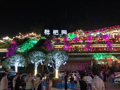 -枇杷园食为鲜火锅(南山店)