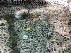 -海口观澜湖火山温泉谷