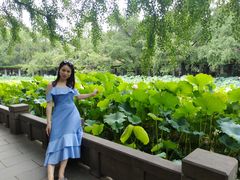 -四川大学(望江校区)
