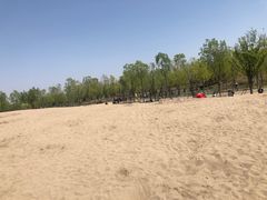 -东郊湿地公园