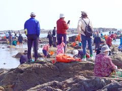 -阳光海岸露营公园