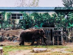 -西安秦岭野生动物园